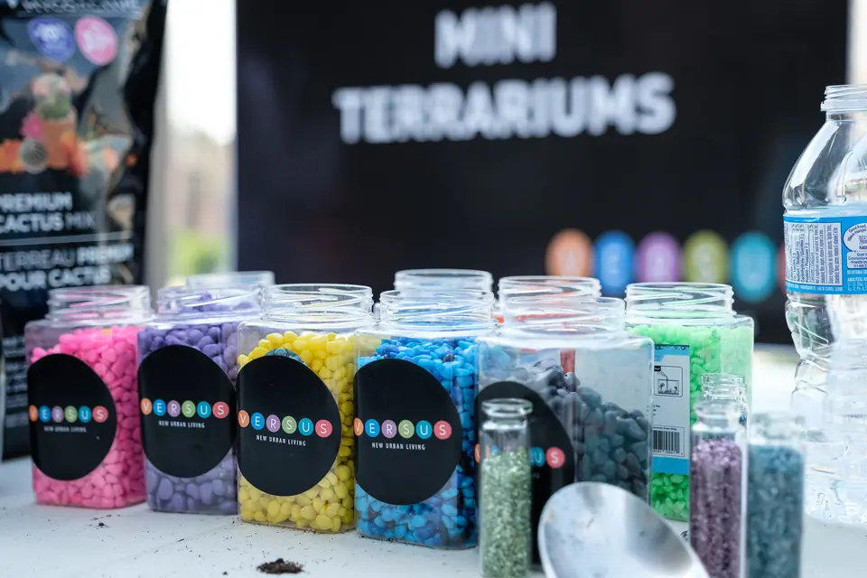 Mini terrarium workshop table at a corporate event